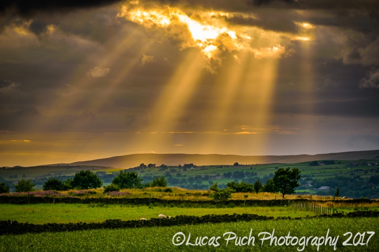 Summer sunset with sun rays through clouds
